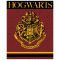 Harry Potter Crest coral fleece polár takaró 120x150cm