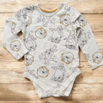 Looney Tunes body