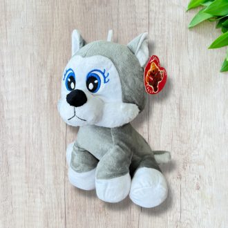 Husky kutya-Új