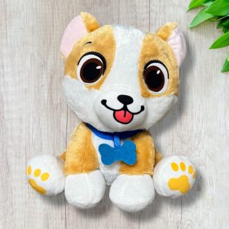 Corgi aranyos kutyus
