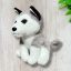 Husky kutya